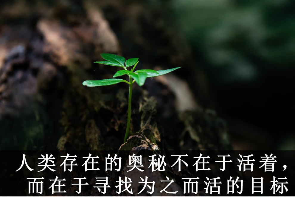 书单丨《生命3.0》:人工智能时代,人类的进化与重生